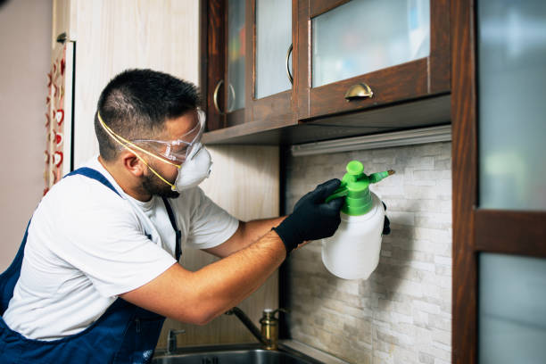 Best Pest Control for Businesses  in Itta Bena, MS