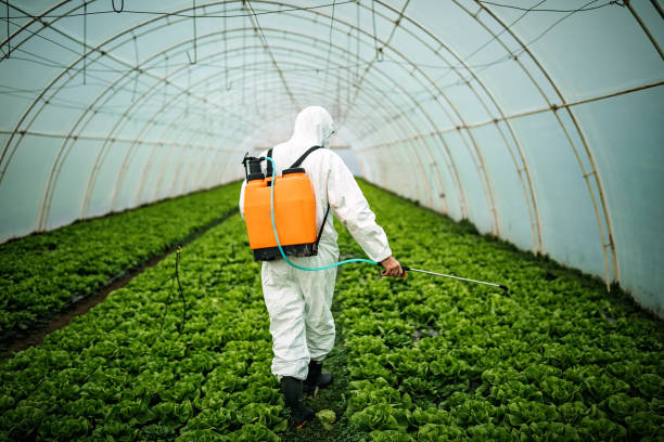 Best Ant Control Services  in Itta Bena, MS
