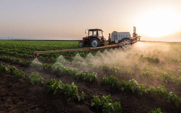 Professional Pest Control in Itta Bena, MS