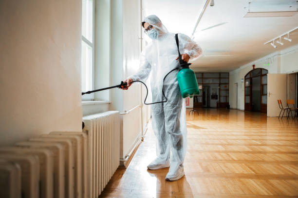 Best Wasp Removal Services  in Itta Bena, MS